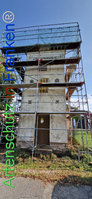 © Artenschutz in Franken® Bild zum Eintrag (1109834-160)
