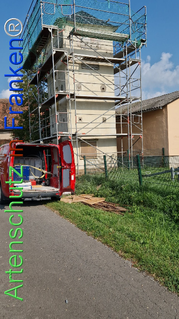 © Artenschutz in Franken® Bild zum Eintrag (1109835-160)