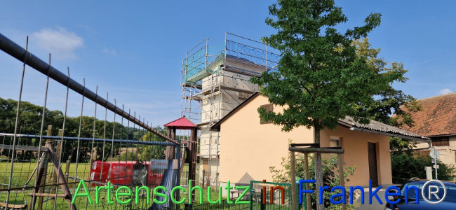 © Artenschutz in Franken® Bild zum Eintrag (1109836-160)