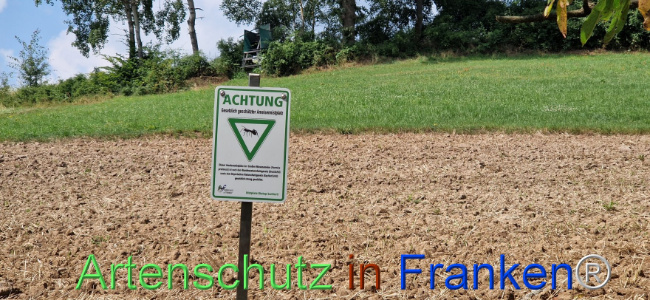 © Artenschutz in Franken® Bild zum Eintrag (1109842-160)