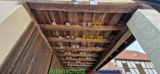 Bild zum Eintrag (1109870-160)