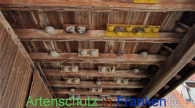 Bild zum Eintrag (1109871-160)