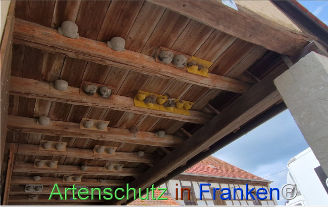 Bild zum Eintrag (1109872-160)