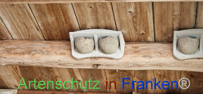 Bild zum Eintrag (1109889-160)