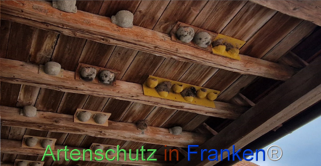 Bild zum Eintrag (1109890-160)