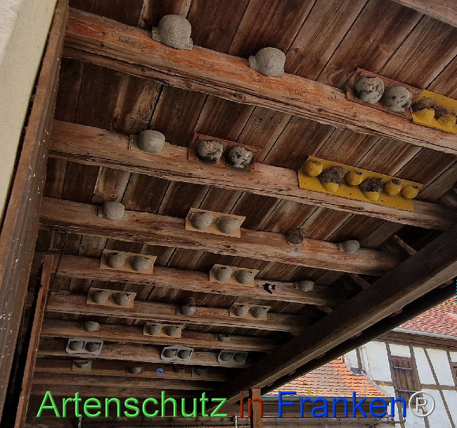 Bild zum Eintrag (1109891-160)