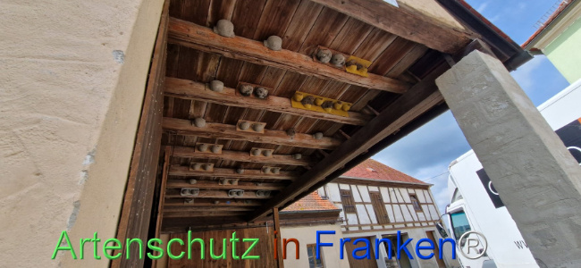 Bild zum Eintrag (1109894-160)
