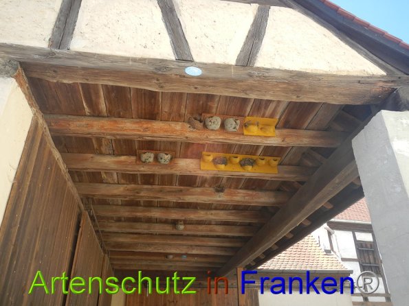 Bild zum Eintrag (1109896-160)