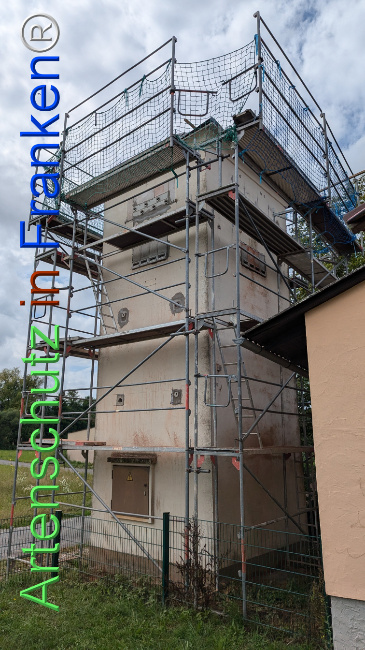 © Artenschutz in Franken® Bild zum Eintrag (1109920-160)