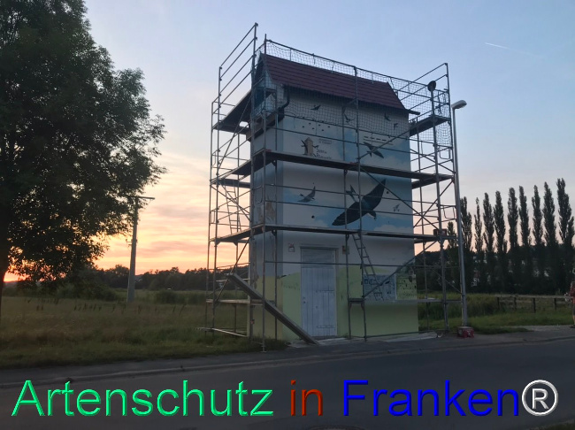 Bild zum Eintrag (1110072-160)