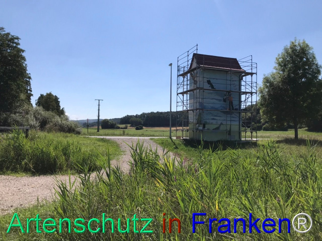 © Artenschutz in Franken® Bild zum Eintrag (1110077-160)