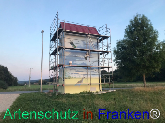© Artenschutz in Franken® Bild zum Eintrag (1110078-160)