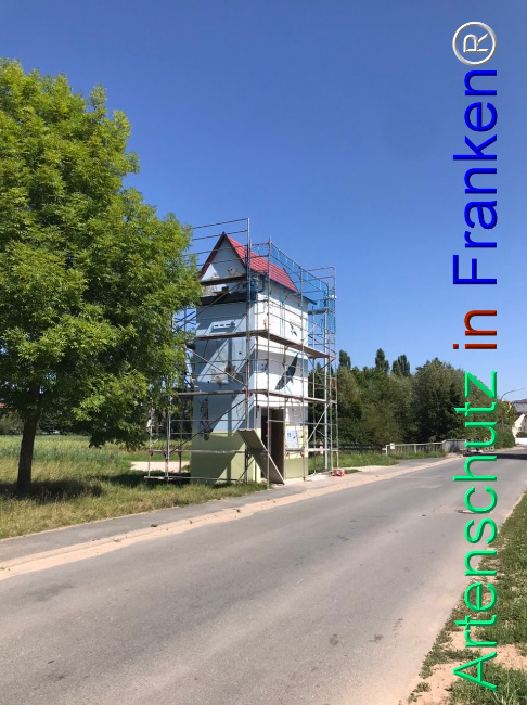 © Artenschutz in Franken® Bild zum Eintrag (1110079-160)