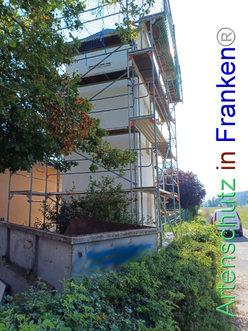 © Artenschutz in Franken® Bild zum Eintrag (1110086-160)