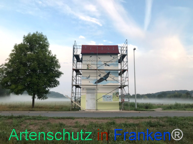 © Artenschutz in Franken® Bild zum Eintrag (1110117-160)