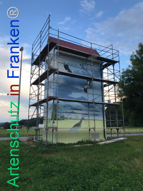 © Artenschutz in Franken® Bild zum Eintrag (1110118-160)