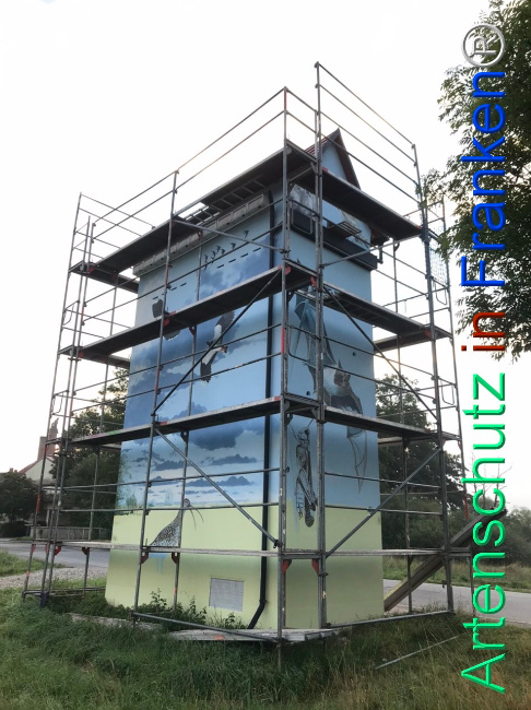 © Artenschutz in Franken® Bild zum Eintrag (1110119-160)