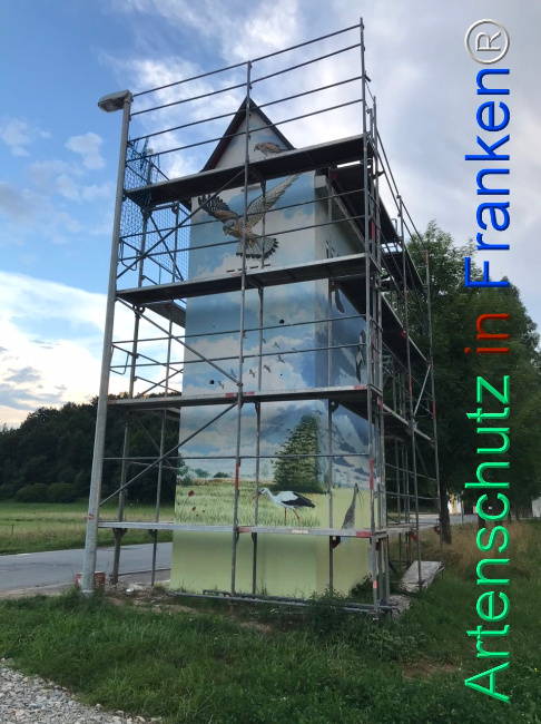 © Artenschutz in Franken® Bild zum Eintrag (1110121-160)