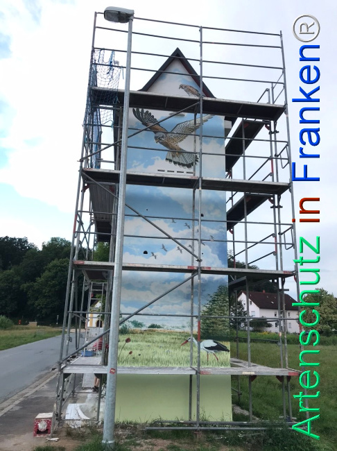 © Artenschutz in Franken® Bild zum Eintrag (1110122-160)