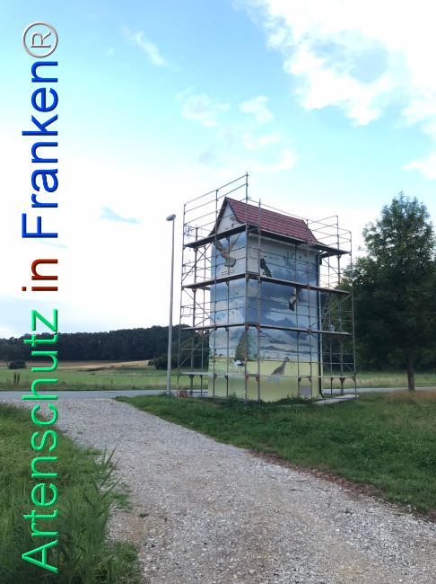 © Artenschutz in Franken® Bild zum Eintrag (1110123-160)