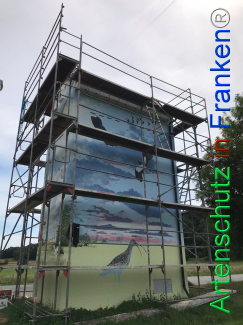 © Artenschutz in Franken® Bild zum Eintrag (1110228-160)