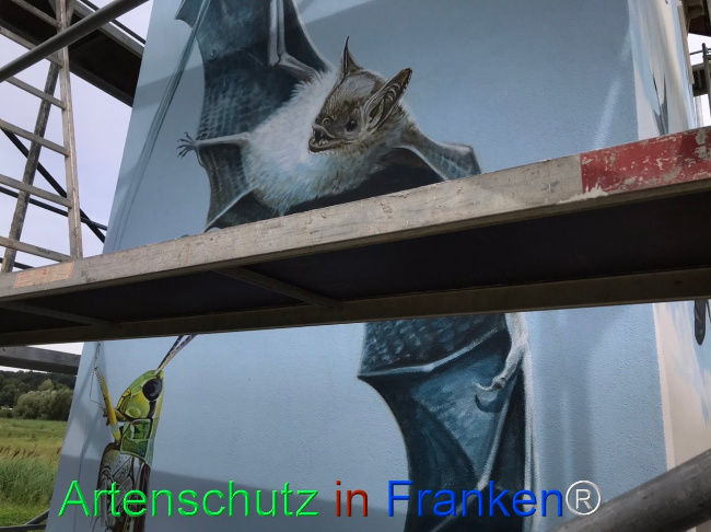 © Artenschutz in Franken® Bild zum Eintrag (1110229-160)
