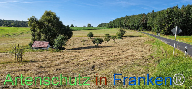 Bild zum Eintrag (1110283-160)