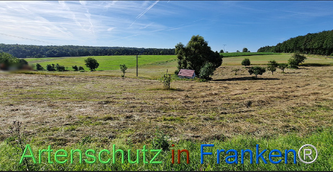 Bild zum Eintrag (1110285-160)