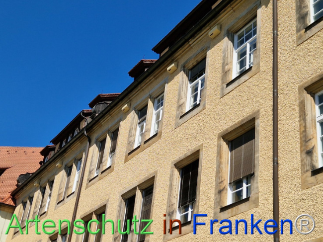 Bild zum Eintrag (1110362-160)