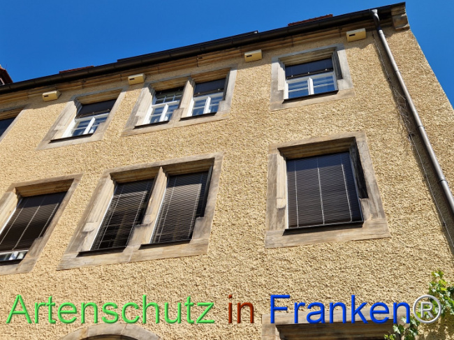 Bild zum Eintrag (1110363-160)