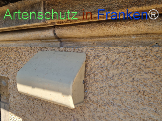 © Artenschutz in Franken® Bild zum Eintrag (1110366-160)
