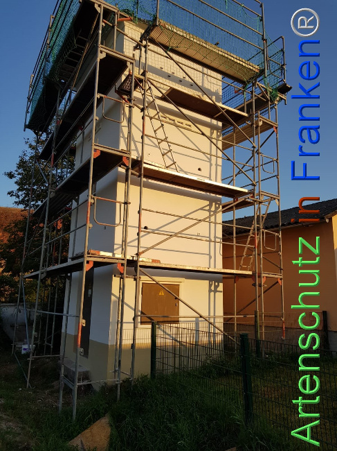 © Artenschutz in Franken® Bild zum Eintrag (1110396-160)