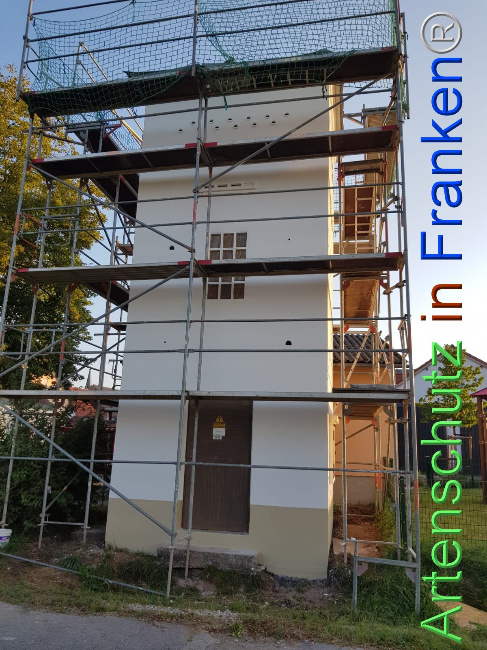 © Artenschutz in Franken® Bild zum Eintrag (1110397-160)