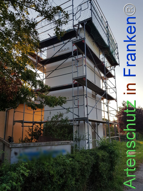 © Artenschutz in Franken® Bild zum Eintrag (1110398-160)