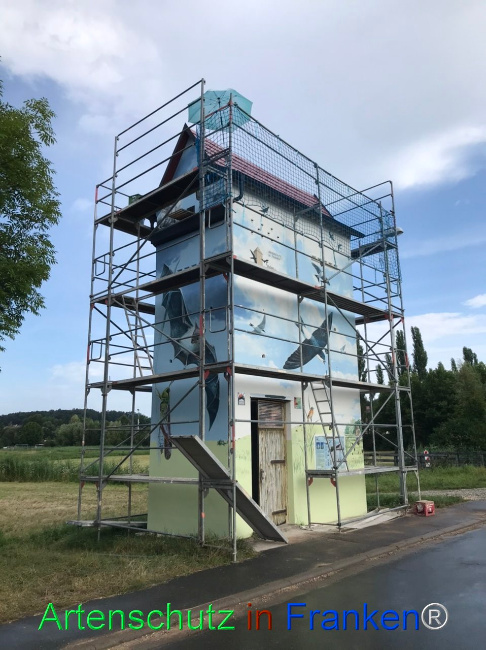 © Artenschutz in Franken® Bild zum Eintrag (1110464-160)
