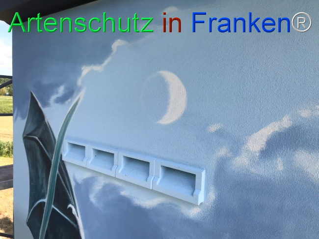 Bild zum Eintrag (1110532-160)