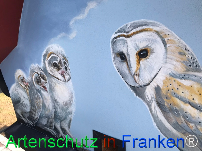 Bild zum Eintrag (1110534-160)