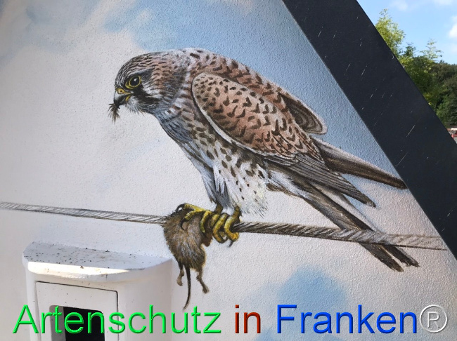 Bild zum Eintrag (1110535-160)