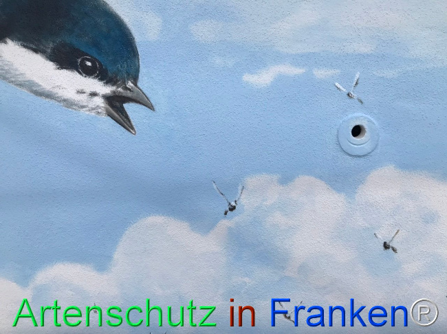Bild zum Eintrag (1110542-160)
