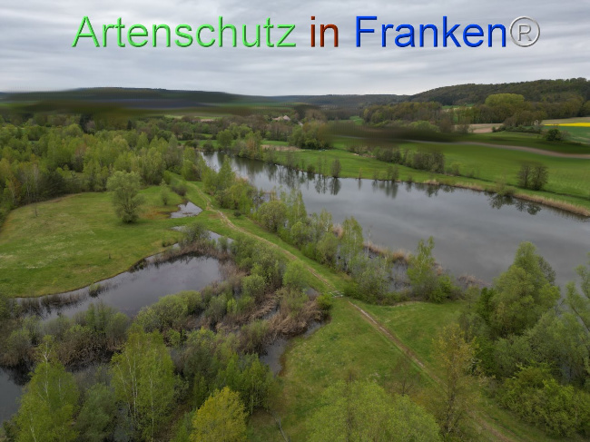 Bild zum Eintrag (1110590-160)
