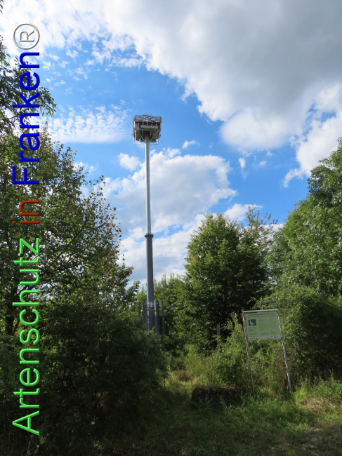 © Artenschutz in Franken® Bild zum Eintrag (1110595-160)