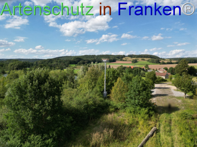 © Artenschutz in Franken® Bild zum Eintrag (1110604-160)