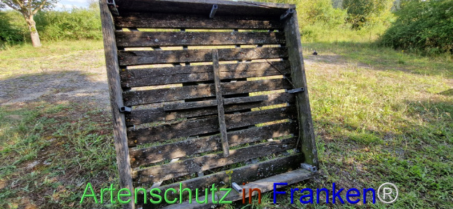 © Artenschutz in Franken® Bild zum Eintrag (1110612-160)