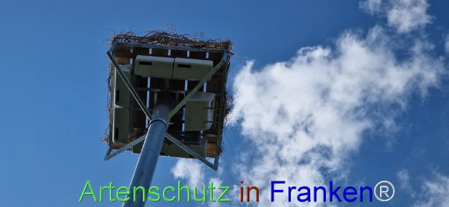Bild zum Eintrag (1110628-160)