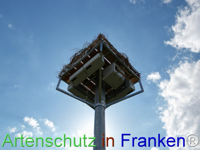 Bild zum Eintrag (1110629-160)