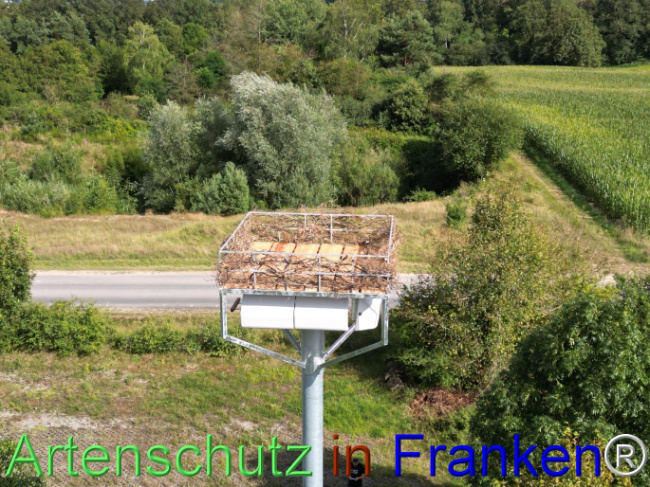 © Artenschutz in Franken® Bild zum Eintrag (1110634-160)