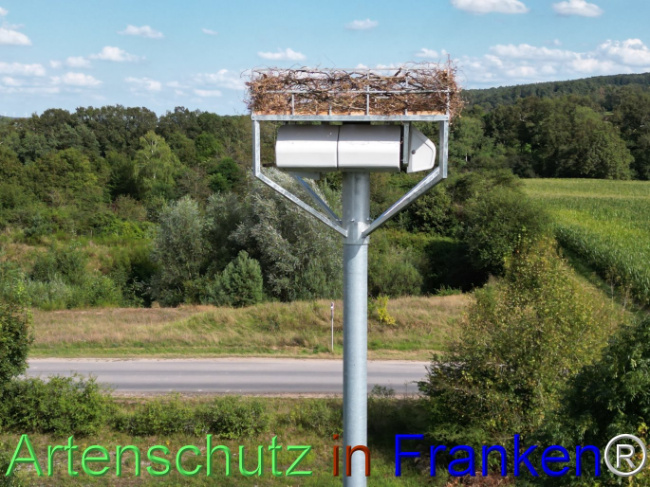 © Artenschutz in Franken® Bild zum Eintrag (1110635-160)