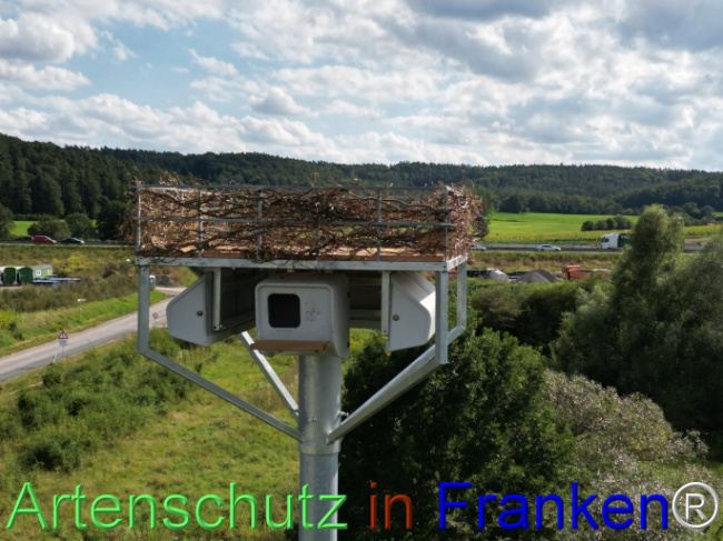 © Artenschutz in Franken® Bild zum Eintrag (1110642-160)