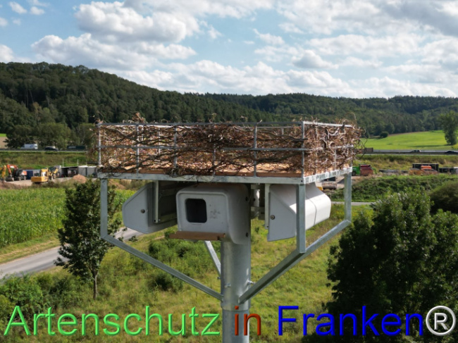 © Artenschutz in Franken® Bild zum Eintrag (1110643-160)
