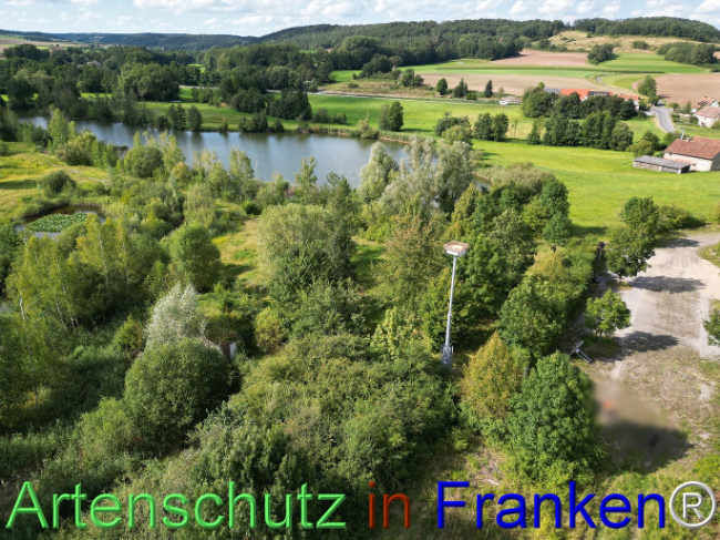 © Artenschutz in Franken® Bild zum Eintrag (1110648-160)